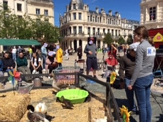 LE C.A.AP : Le festival des Accessifs